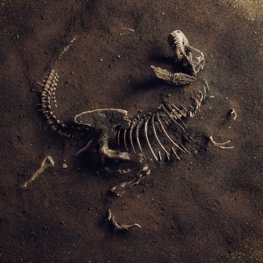 Dinazor Rex