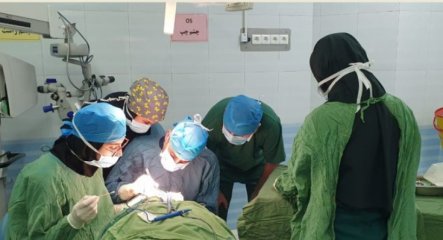 Tajik Doctors Improve Their Skills in Japan and Iran
