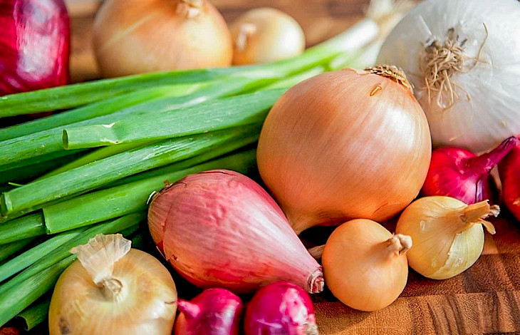 Kyrgyzstan’s Cabinet introduces temporary ban on export of onions