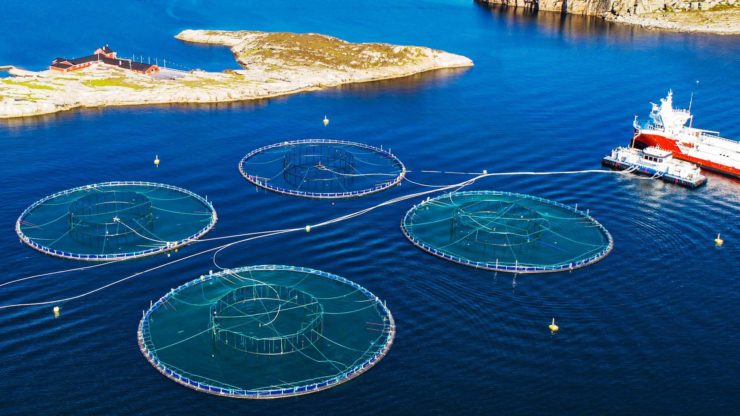 Global G.A.P. to work with Turkmenistan on aquaculture