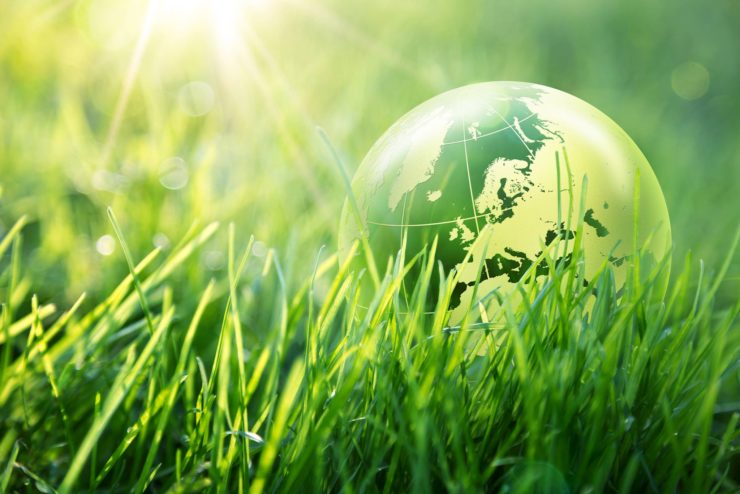 Ilyasov spoke about Turkmenistan's strategic tasks to prevent an environmental crisis