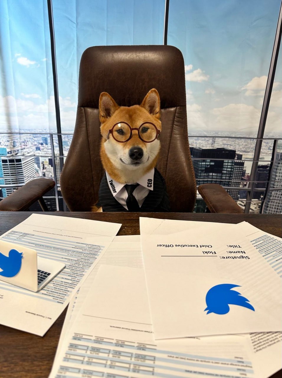 🐕 Elon Musk has appointed a new CEO to Twitter