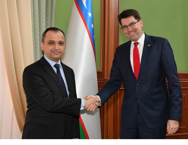 Uzbekistan and Germany held political consultations