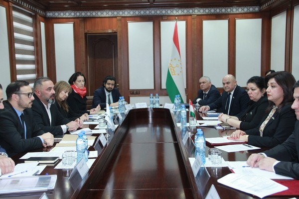 HEALTHY NATION PROJECT. A meeting with a delegation of World Bank experts was held in the lower house of the Parliament of Tajikistan