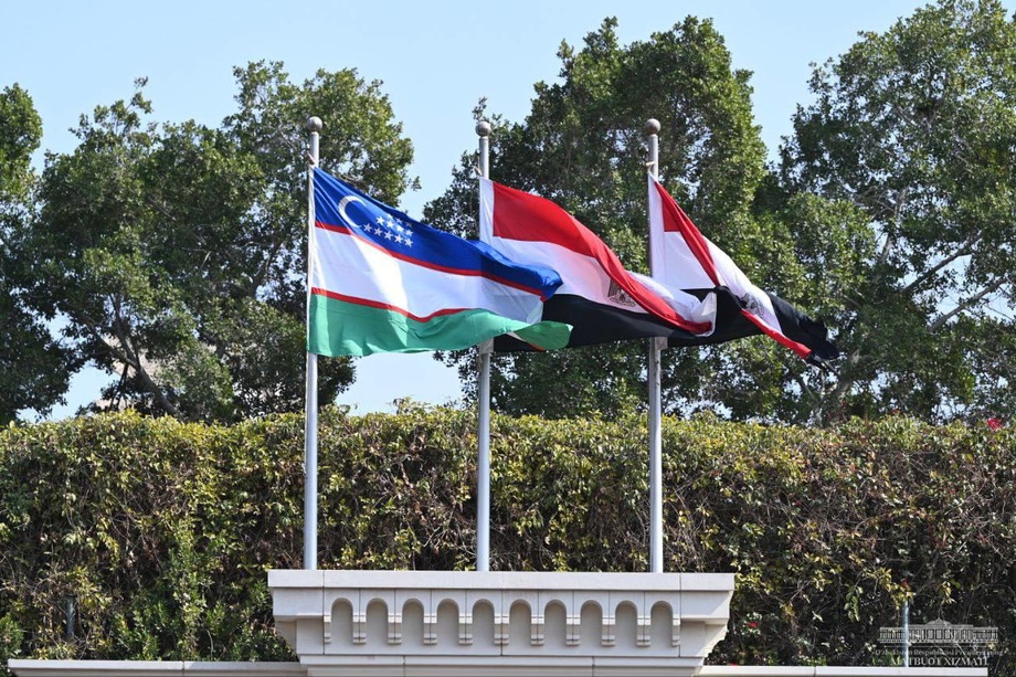 The trade turnover between Uzbekistan and Egypt is about 31 million dollars
