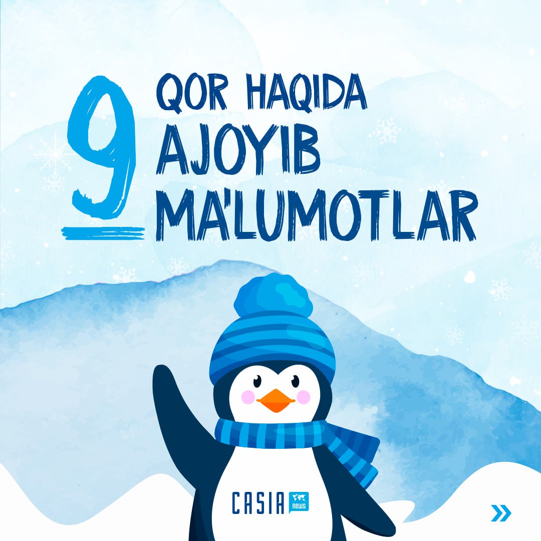 We have prepared interesting information about snow for you ⛄️
