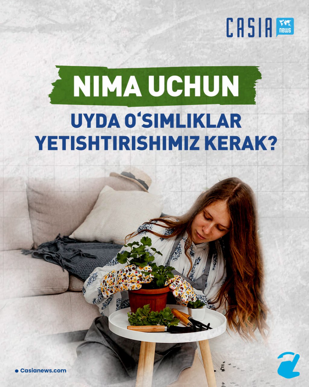 Plants grown at home have many benefits. It cleans the air, increases concentration, ensures that you are in a high mood, and additionally helps with "shumoisolation"