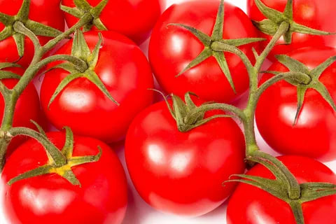 Turkmen company "Uly Hoves" exports 80-100 tons of tomatoes per month to Russia