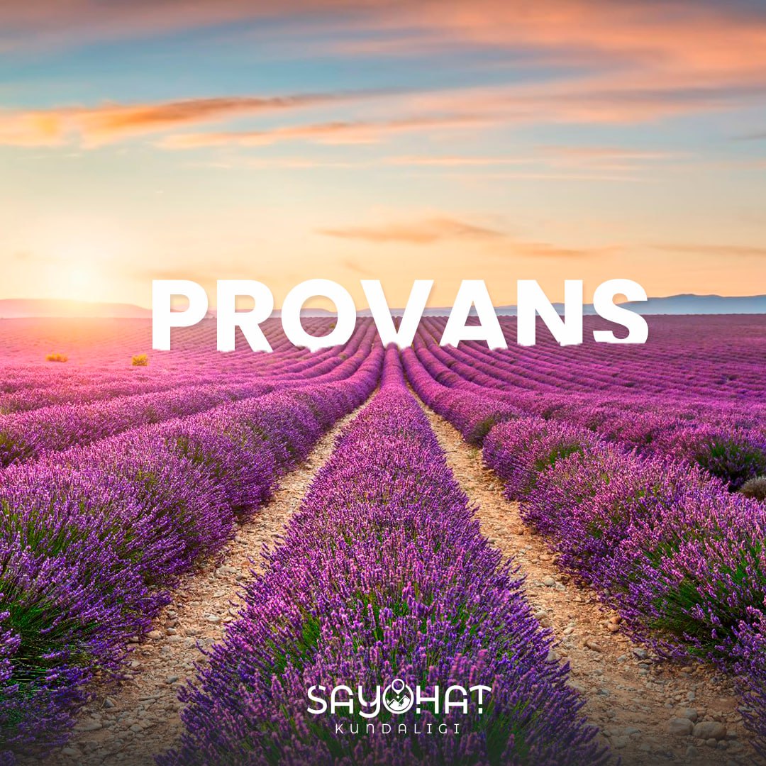 Lavender fields, a UNESCO World Heritage Site