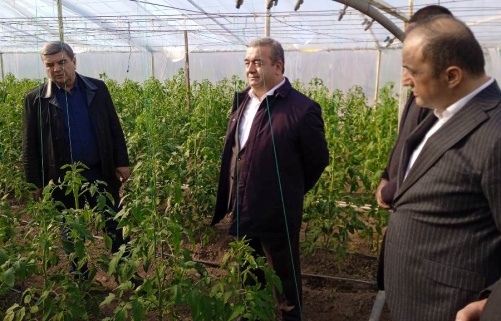 The Deputy Prime Minister of the country got acquainted with the state of the agricultural sector in Tursunzade