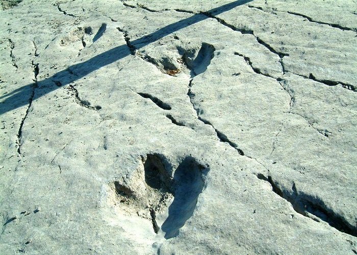Akiniazov: Dinosaur plateau in Turkmenistan may be included in the UNESCO List