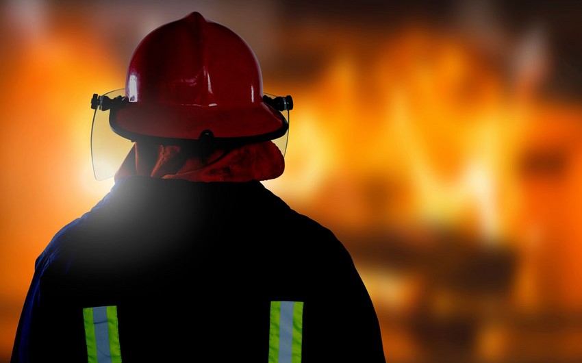 A forest fire has been extinguished in the Istra district