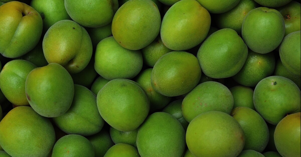 In Tashkent, 1 kg of dovcha is sold for about 1 million soums