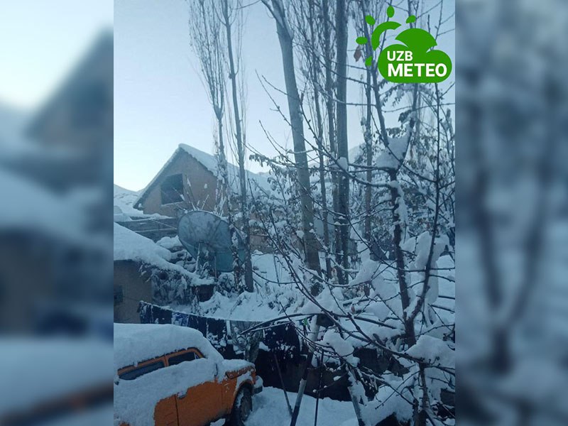 On the eve of the Navruz holiday, snow fell in Uzbekistan