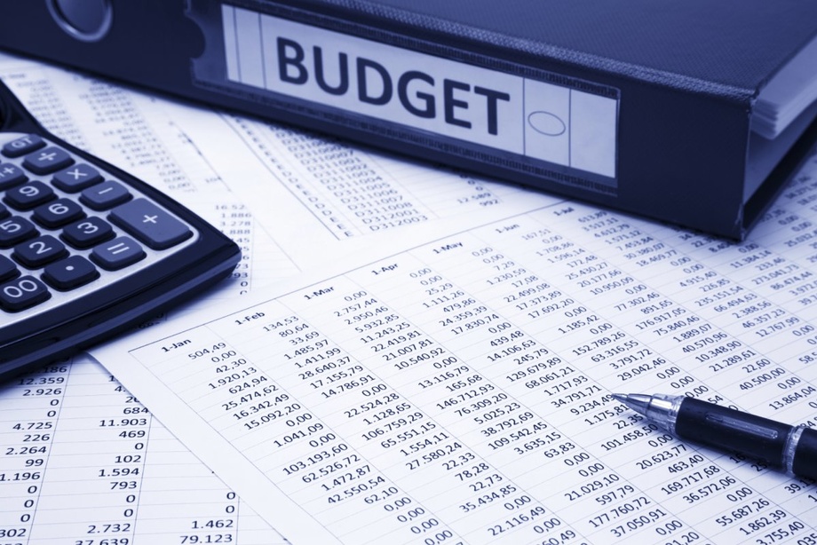 Constitution: citizens exercise public control over the formation of the State budget
