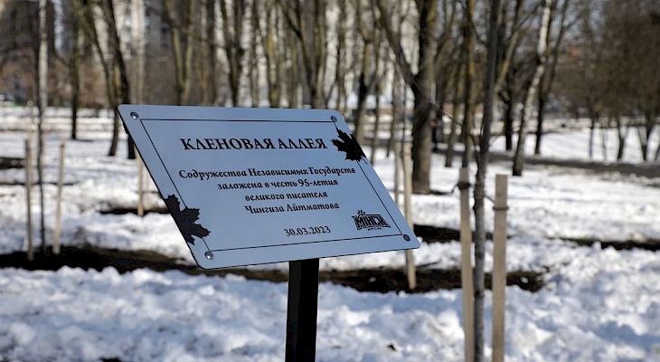 95th anniversary of Chingiz Aitmatov. A maple alley was laid in Minsk in honor of the date