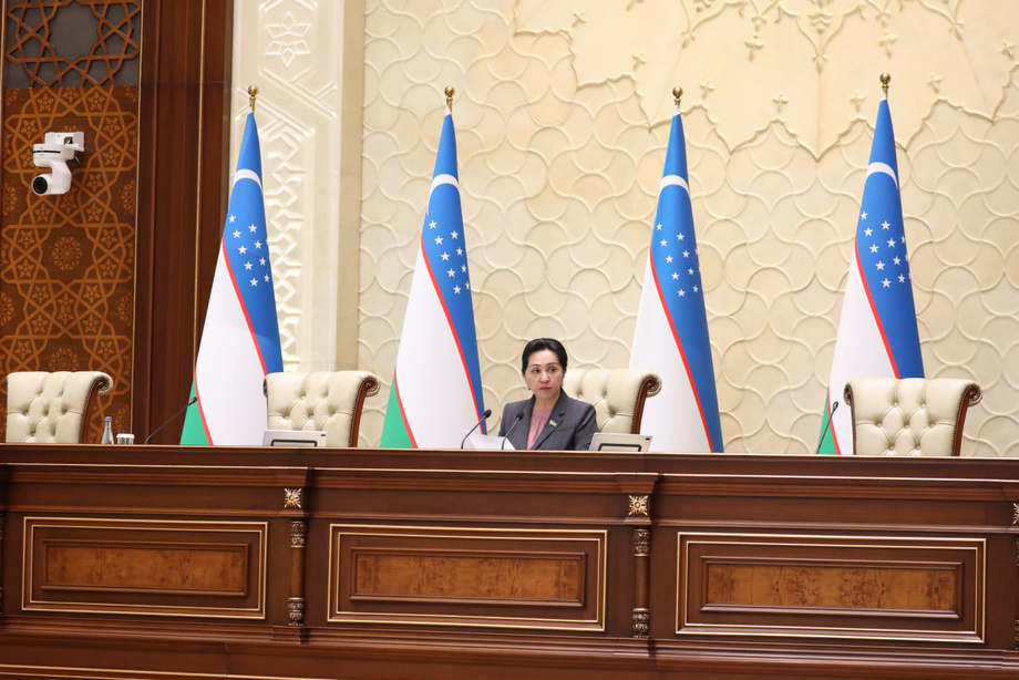 The Senate adopted a law protecting women and children from violence