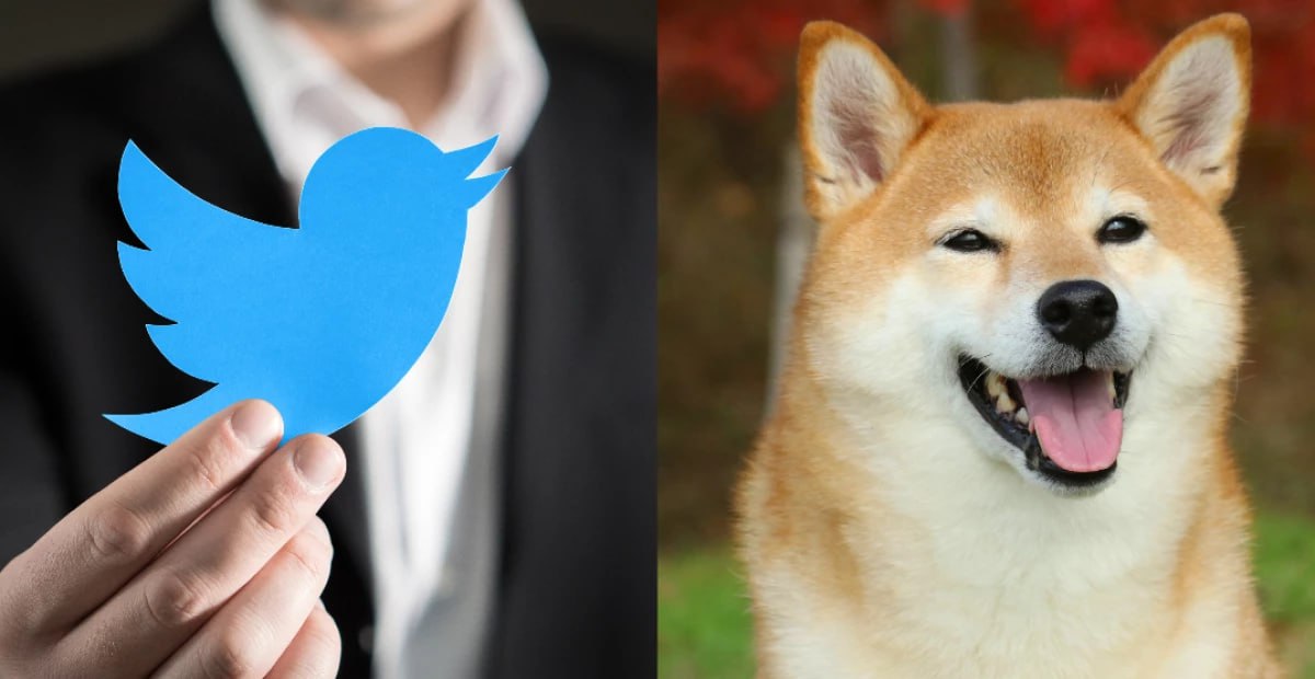 Twitter returned the "blue bird", the price of the "puppy" fell
