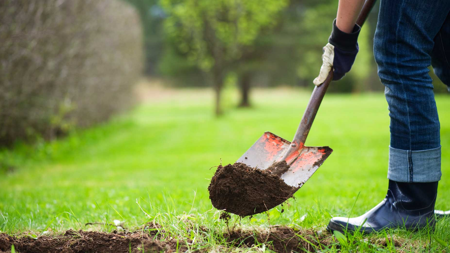Responsibility for compulsory involvement in paid Public Works was established in Uzbekistan