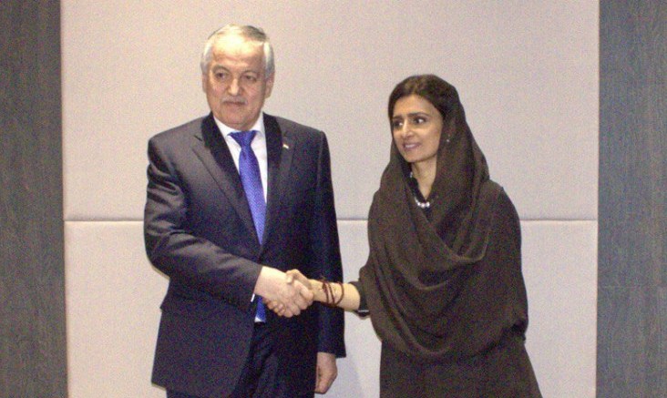 Foreign Ministers of Tajikistan and Pakistan discussed certain issues on international and regional agenda
