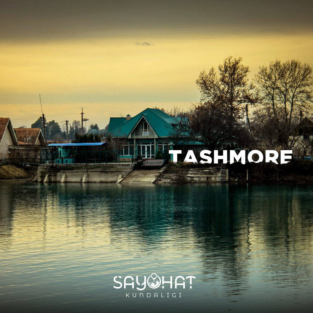 🌊Tashmore 
