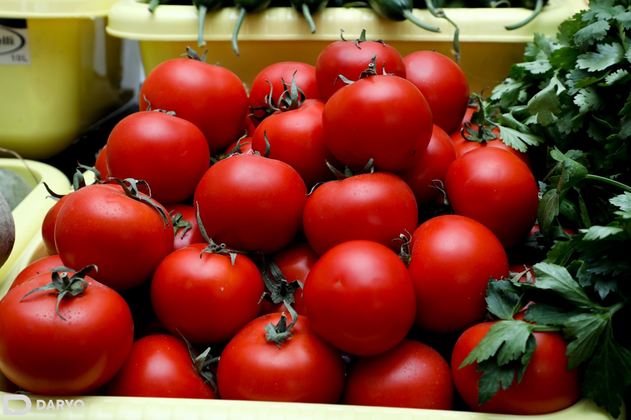 The price of tomatoes has fallen sharply in the last week