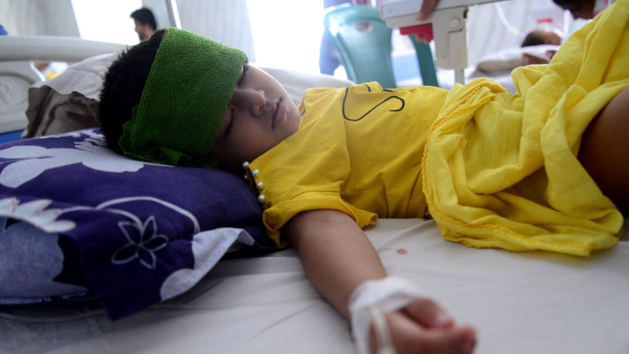 More than 40 people have died in Argentina from the mosquito-borne virus