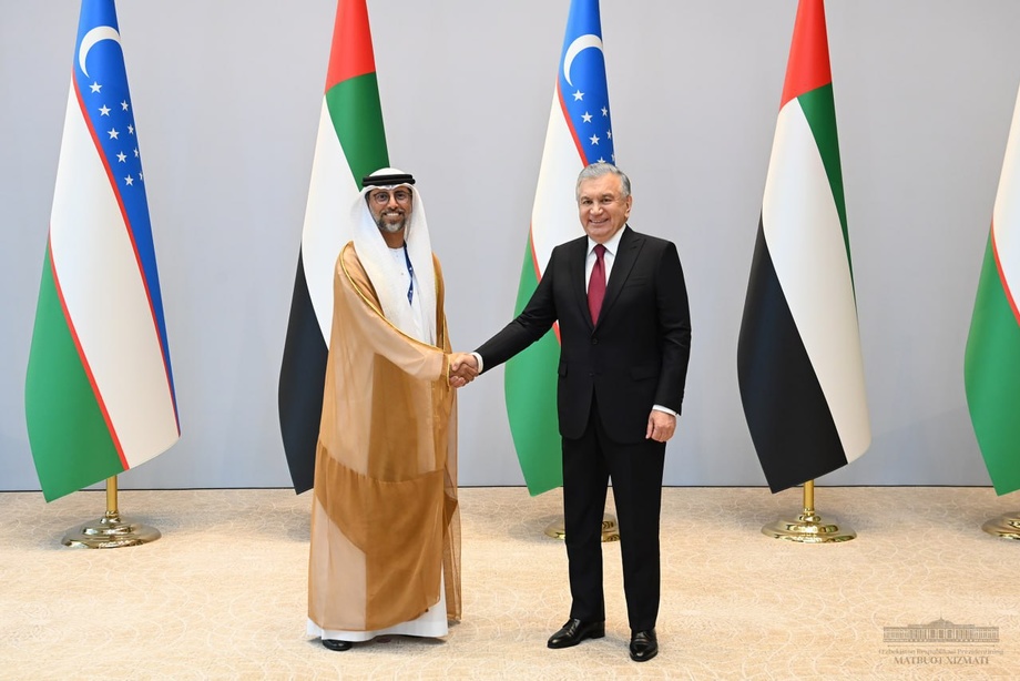The President received the Minister of Energy and Infrastructure of the UAE