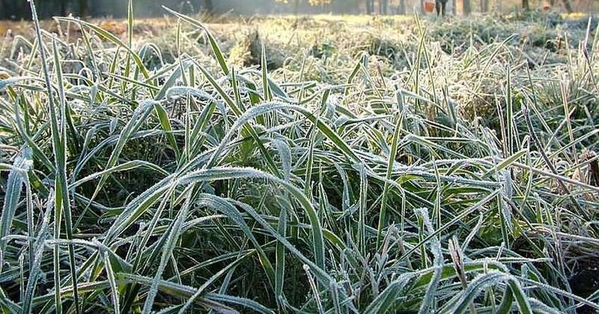 Storm warning. Frosts are expected in Kyrgyzstan