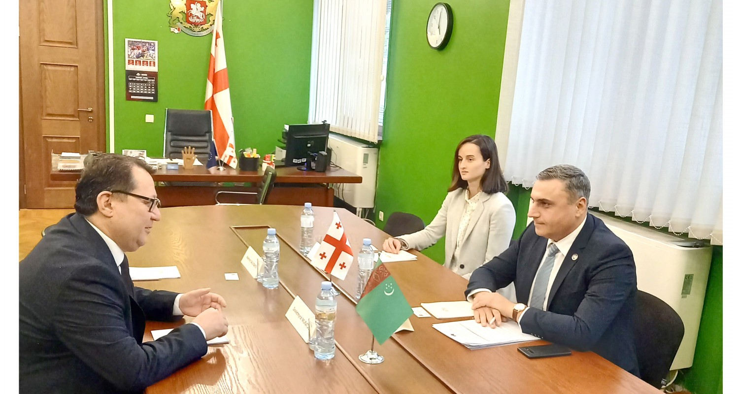 A meeting of the participants of the Inter-Parliamentary Friendship Group "Georgia-Turkmenistan" was held