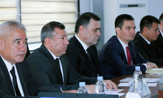 Implementation of Turkmen-Afghan energy projects discussed in Kabul