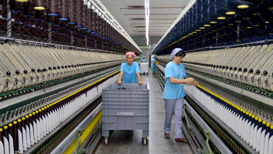 A rapid increase of industrial enterprises was noted in five years