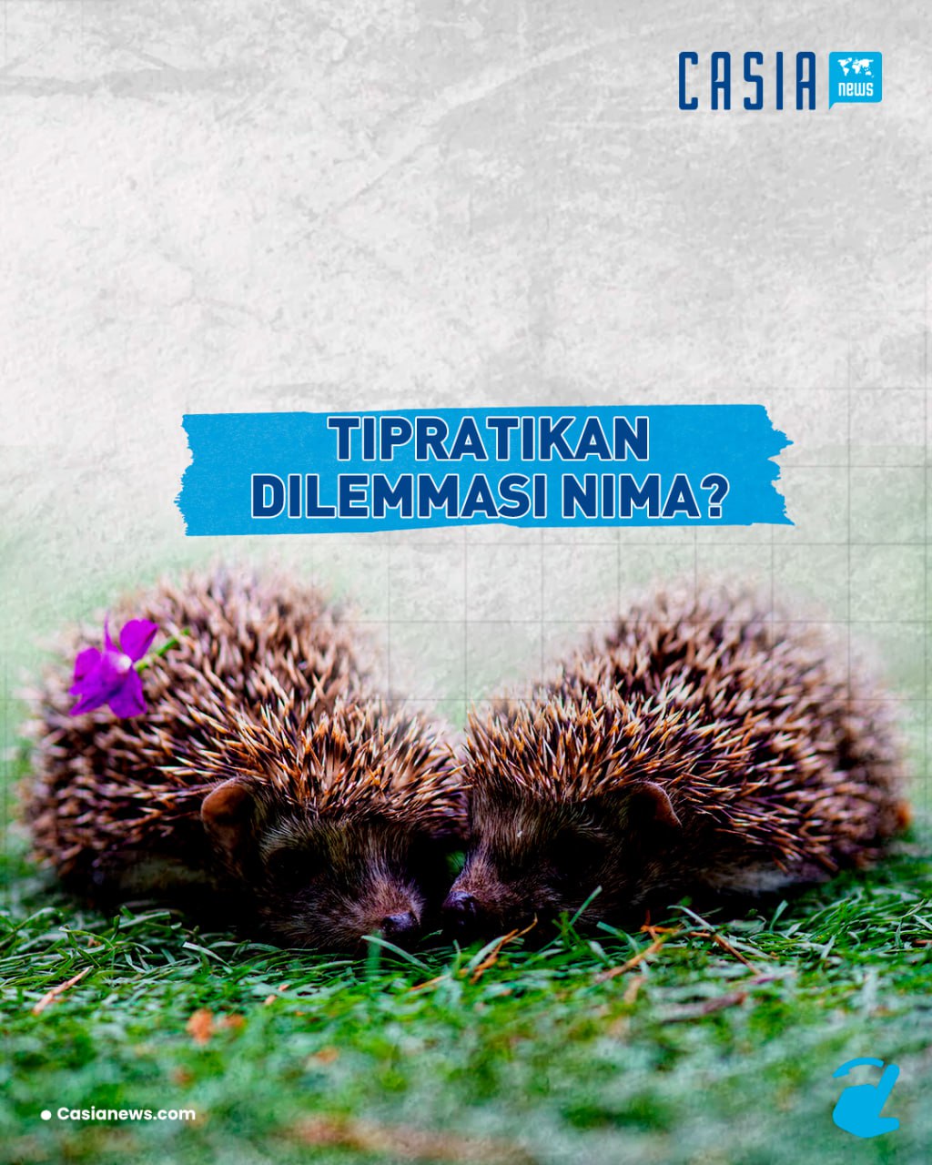 🦔What is the Tipratikan Dilemma?