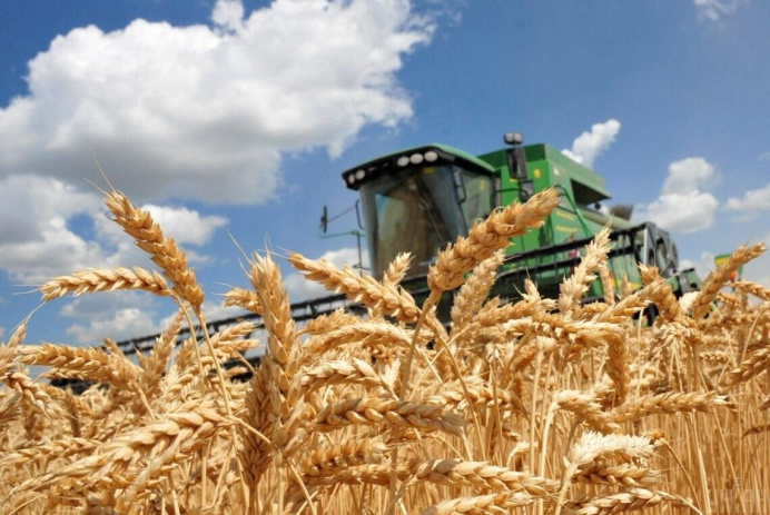 State Commission for Grain Harvest-2023 established in Turkmenistan