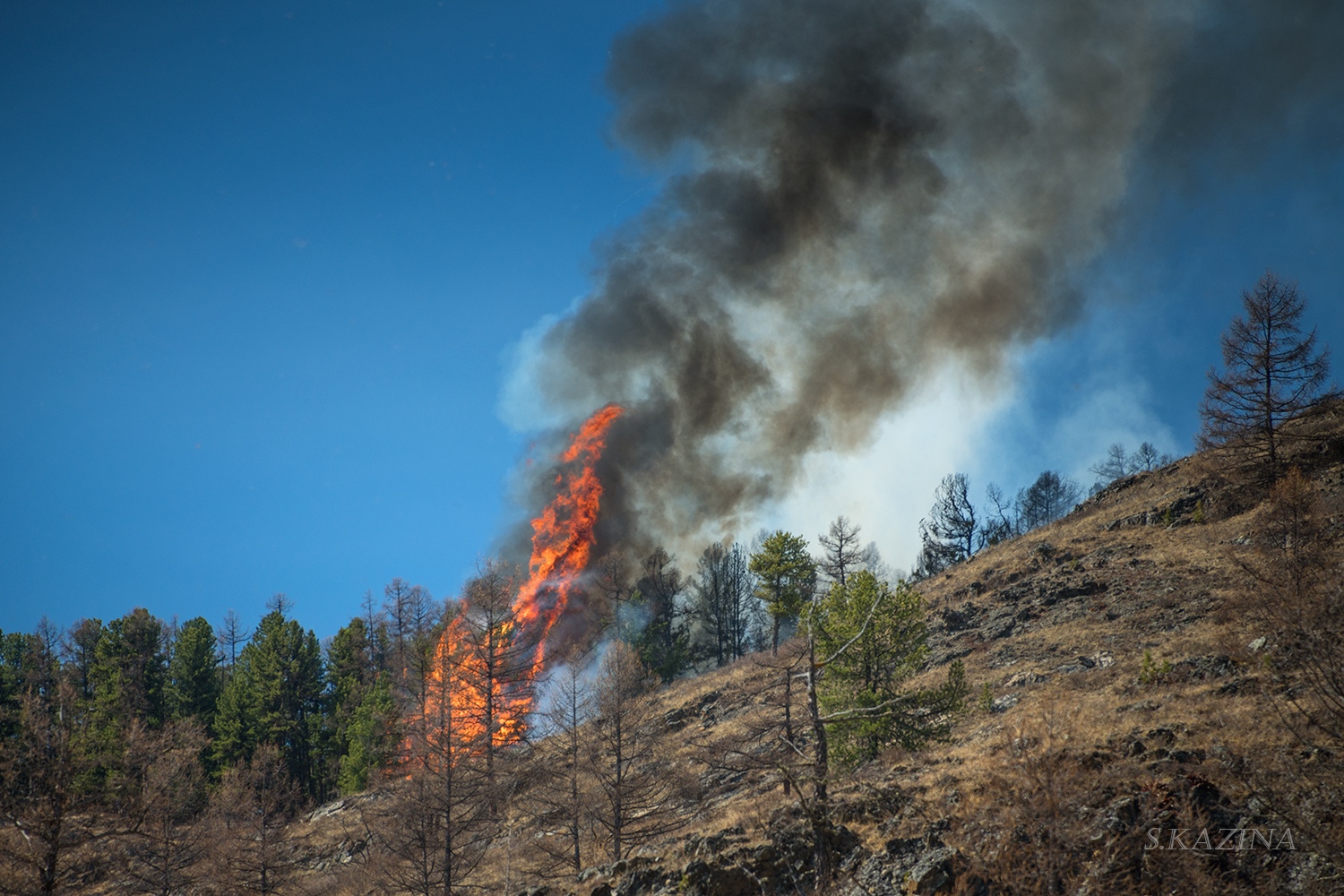 The President posthumously awarded the rescuer who died while extinguishing a fire in the mountains of Almaty
