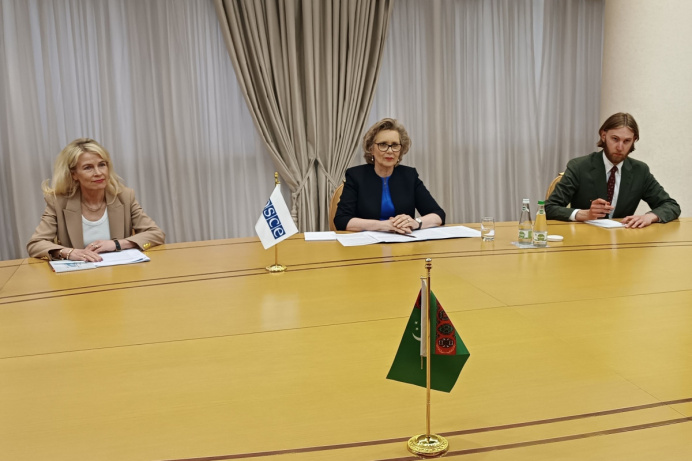 OSCE PA President praised cooperation with Turkmenistan at a meeting at the Foreign Ministry