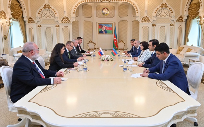 Issues of cooperation between the parliaments of Azerbaijan and Slovakia discussed