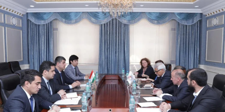 MFA RT: meeting with the Director General of the International Federation of Red Cross and Red Crescent Societies