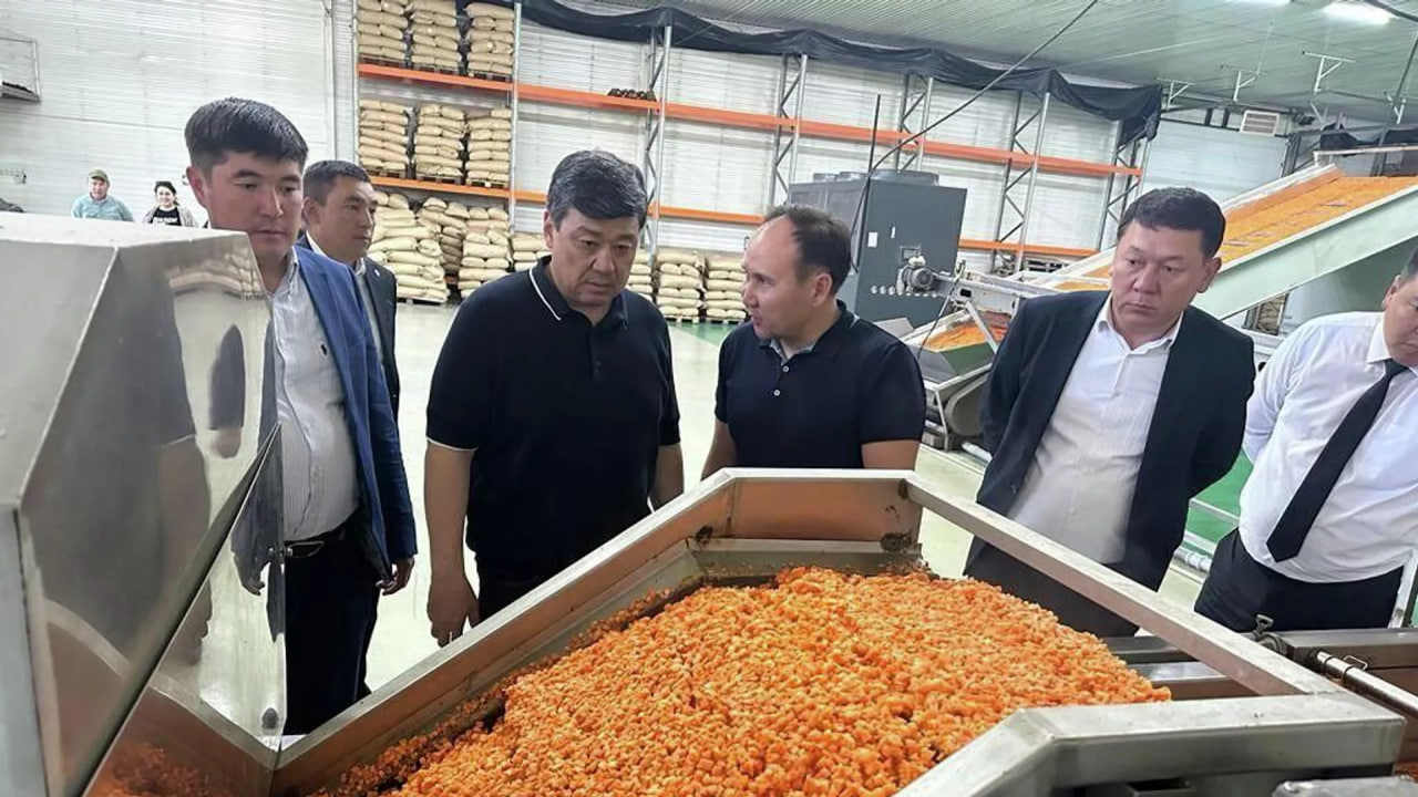 Authorities plan to create industrial zones in each region of Kyrgyzstan