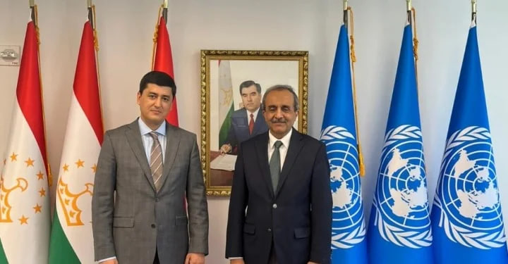 Implementation of the Sendai Framework for Disaster Risk Reduction Discussed in New York
