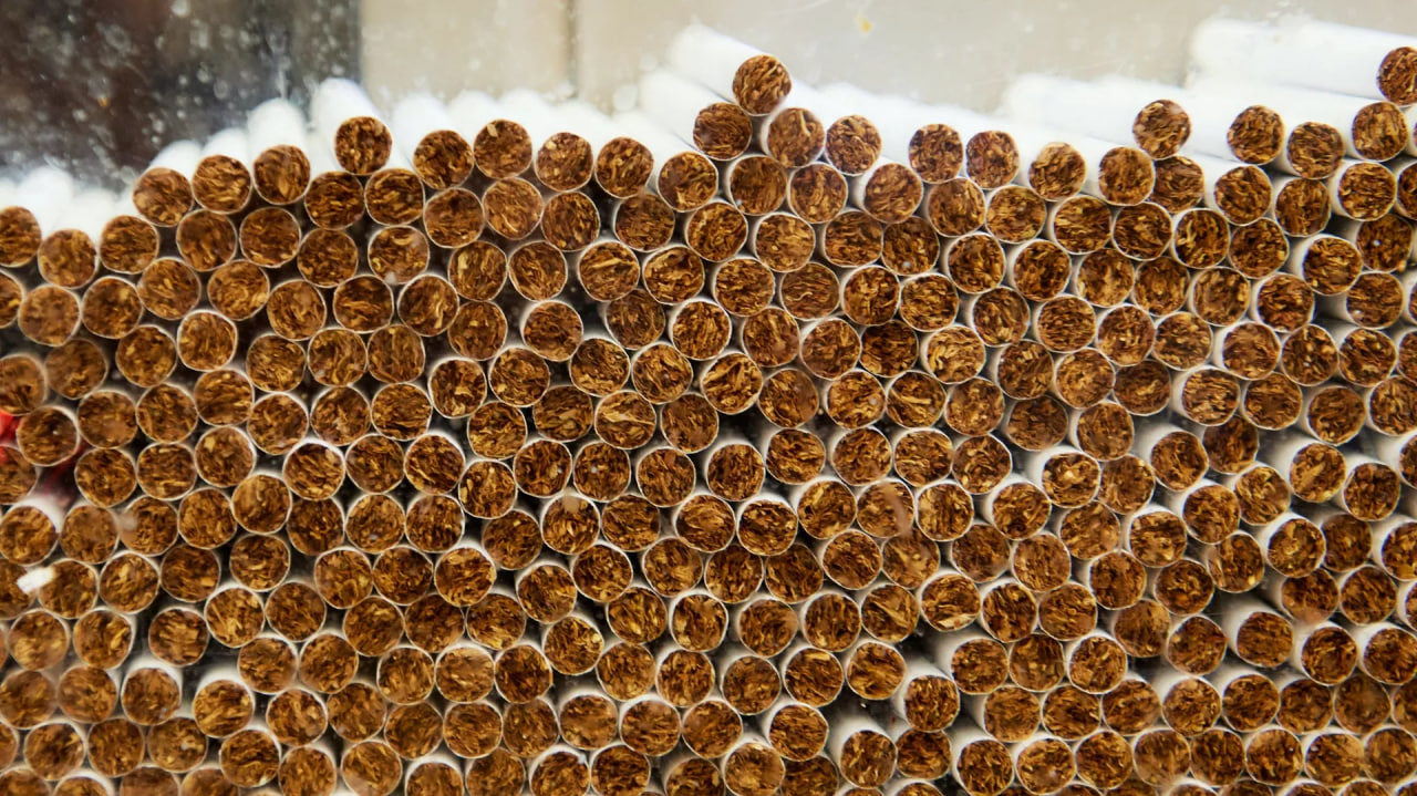 Tobacco factory to be built in Tajikistan