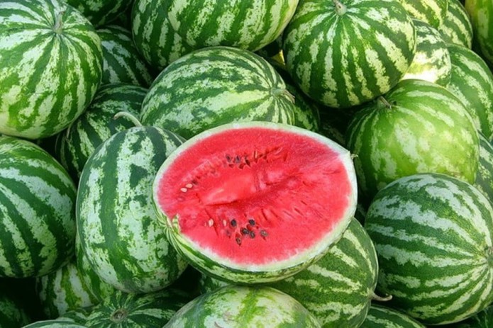 Uzbekistan exported a record amount of watermelon in May