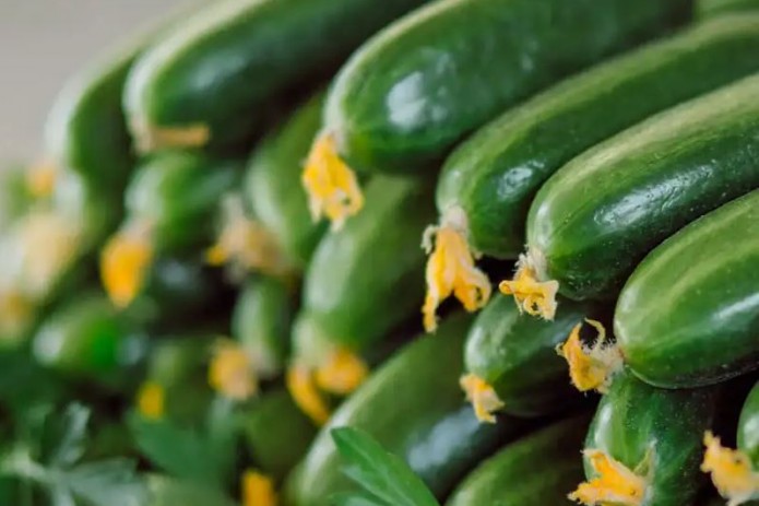 Cucumber prices in Uzbekistan decreased by almost 20% in one month and by 55% since the beginning of the year
