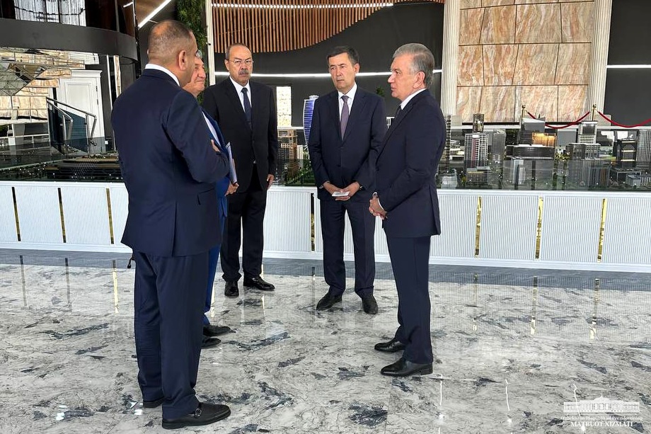 Mirziyoyev got acquainted with the new massif plan