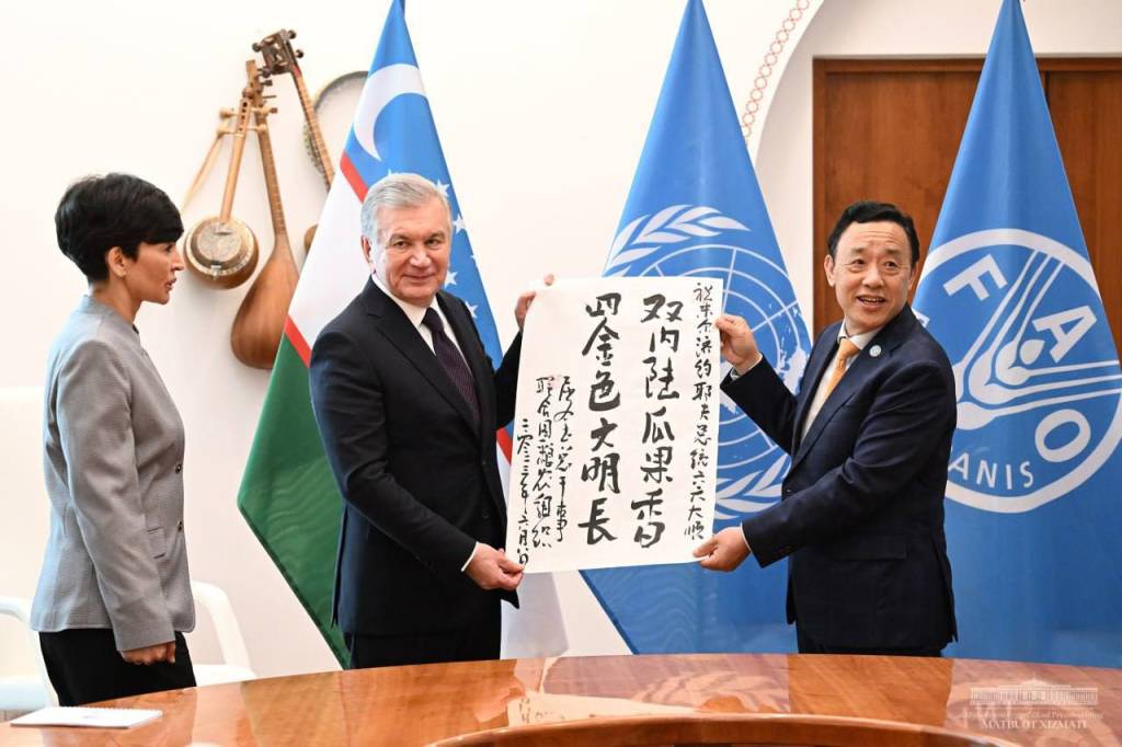 The President of Uzbekistan sets priorities for practical cooperation with FAO