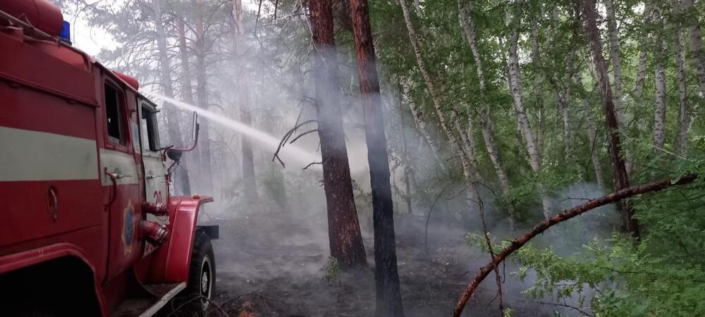 The area of the forest fire in the Abai region exceeded 60 thousand hectares