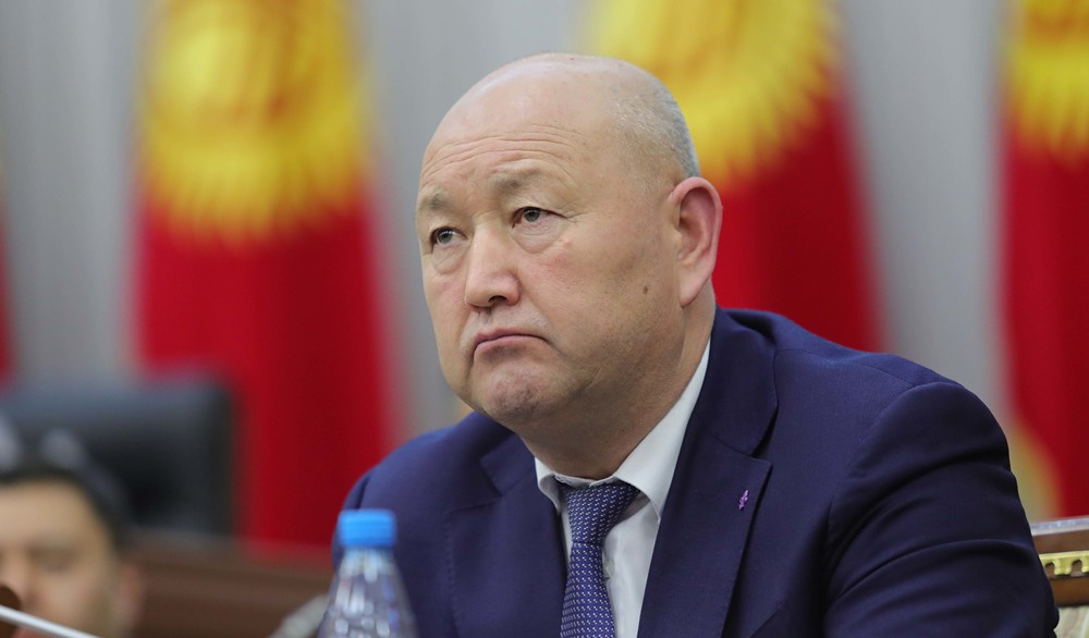 Ex-Deputy Prime Minister Zhenish Razakov detained on fraud case