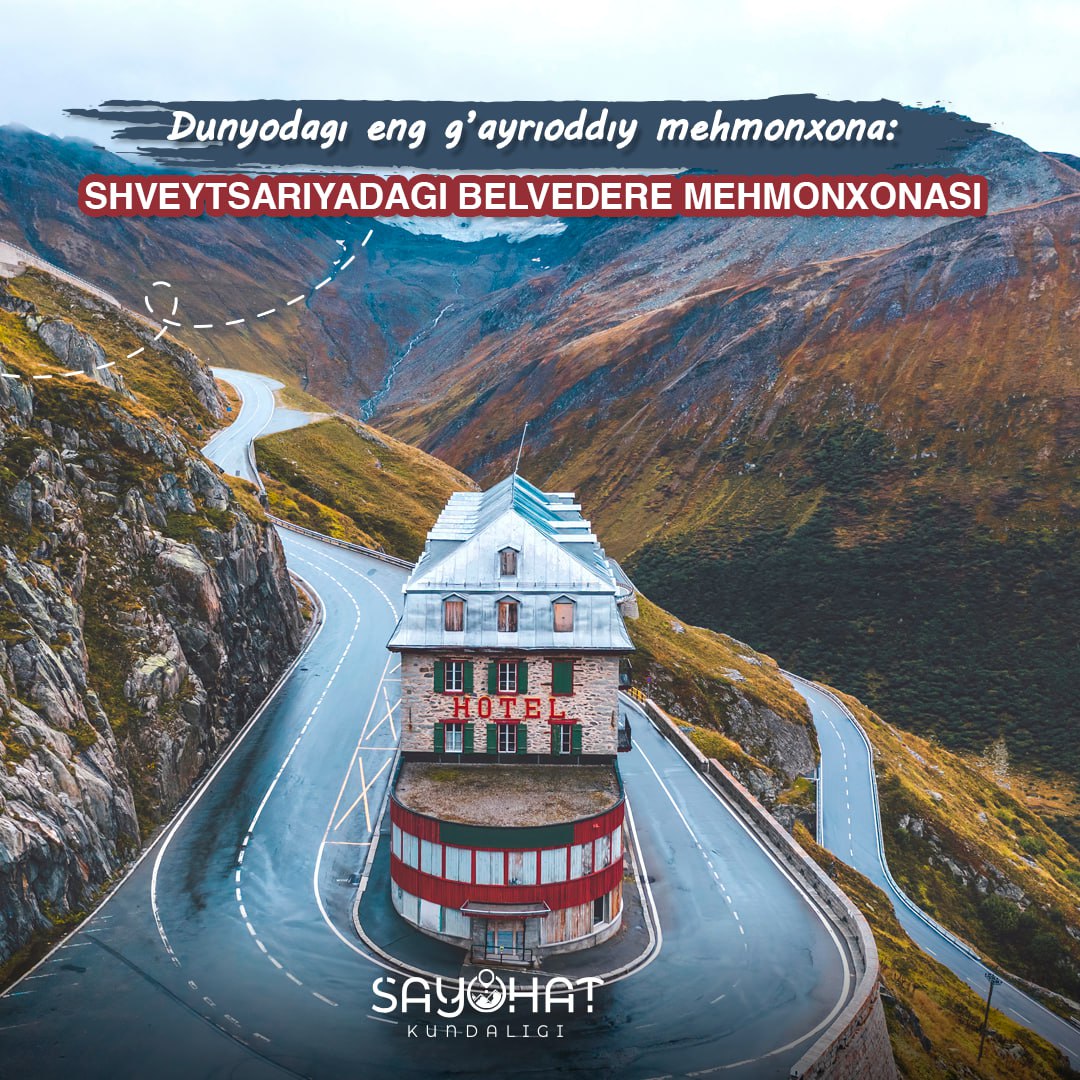 Ushbu noodatiy restoranlardan qaysi birida ovqatlanishni xohlaysiz? 🍷🍝🍔