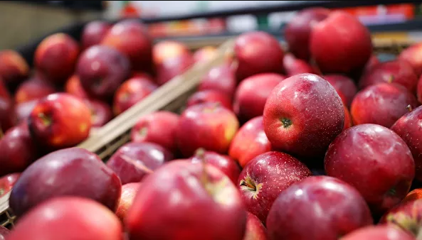 Uzbekistan exported $ 1.8 million worth of apples to seven countries