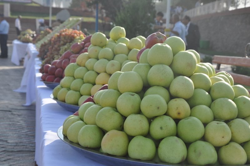Uzbek apples are mainly exported to the market of Kazakhstan